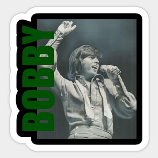 Bobby Sherman // Retro Aesthetic Fan Art // 80s Sticker